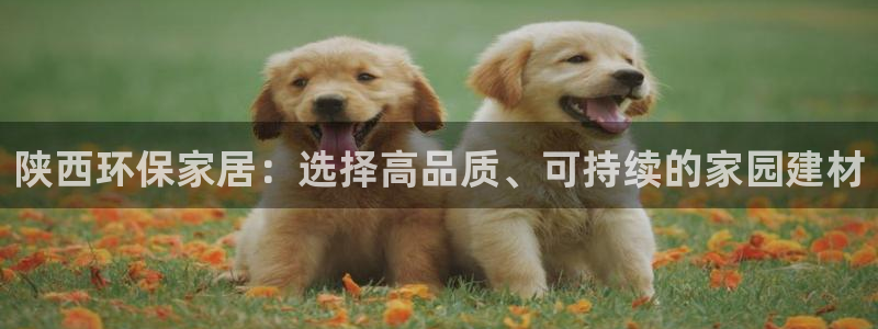tp钱包dapps打不开