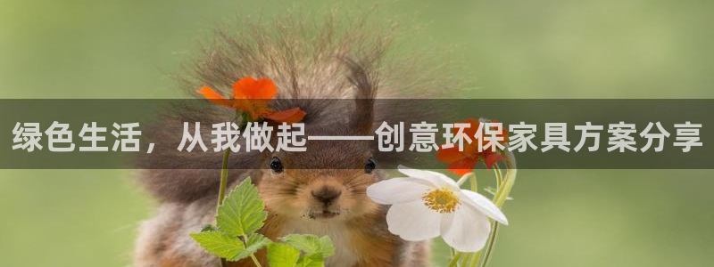 tp钱包bnb矿工费