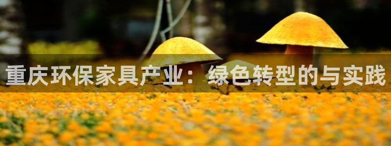 tp官方下载安卓最新版本