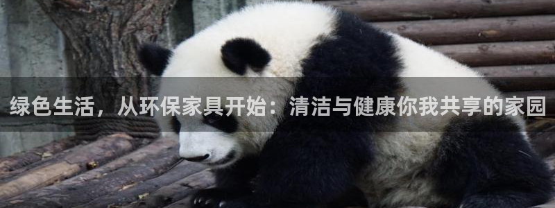 tp钱包 单底层钱包