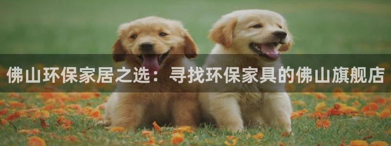 tpt钱包今日行情