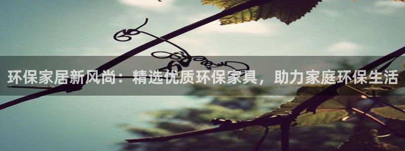 tp钱包usdt怎么换bnb：环保家居新风尚：精选优质环保家