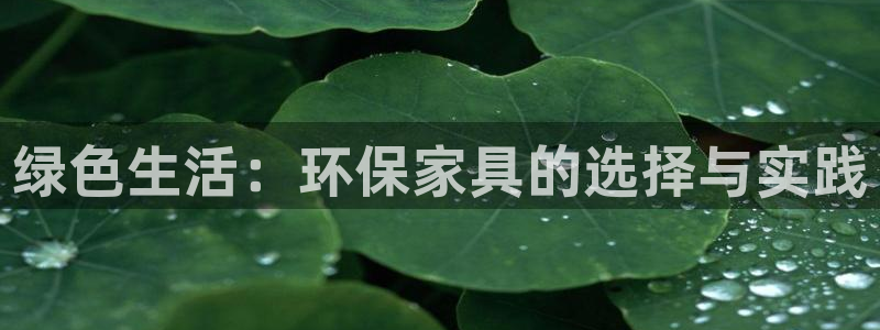 tp钱包 安全吗
