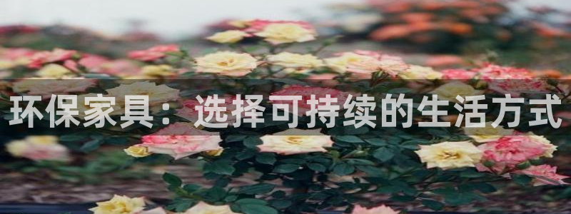 tp钱包 观察钱包