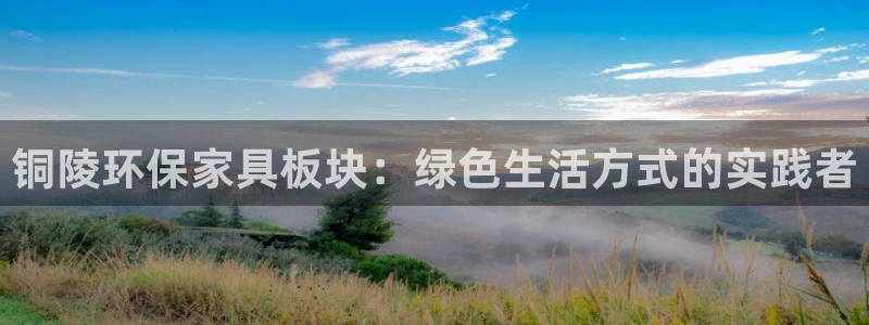 tp钱包安全性