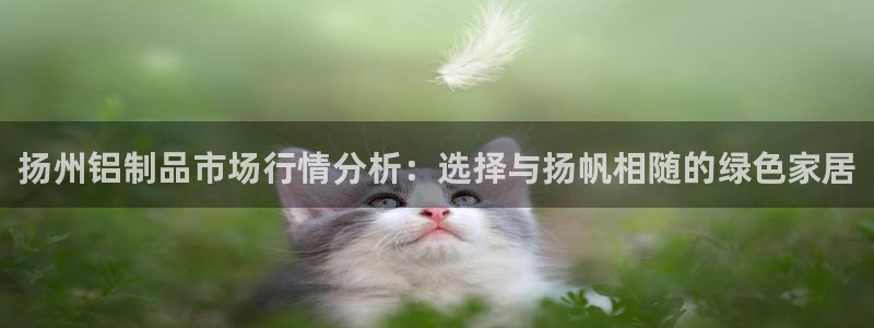 tp钱包app钱不见了：扬州铝制品市场行情分析：选择与扬帆相