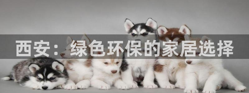 Tp钱包TRx网络费：西安：绿色环保的家居选择