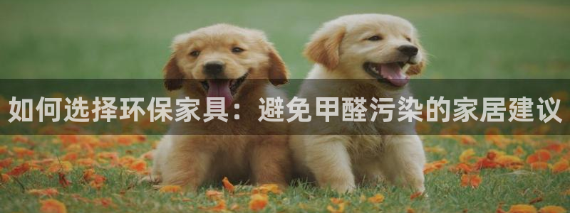 tp 钱包app