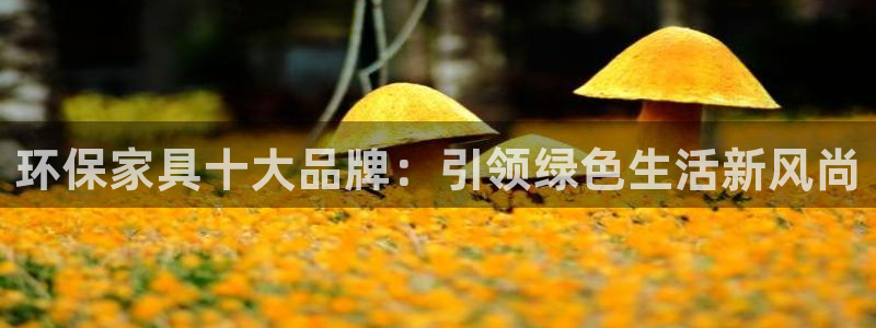 tplink安装包：环保家具十大品牌：引领绿色生活新风尚
