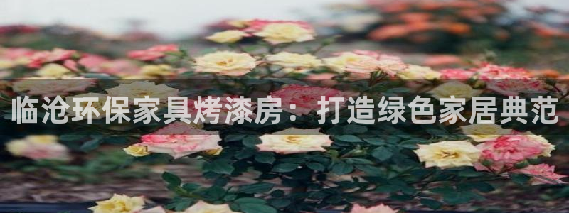 tp钱包BNB链转SOL链：临沧环保家具烤漆房：打造绿色家居