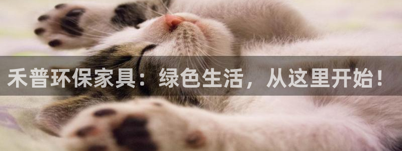 tp-link安装软件：禾普环保家具：绿色生活，从这里开始！