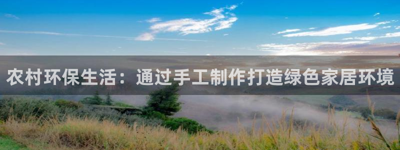 tp 钱包怎么买能量：农村环保生活：通过手工制作打造绿色家居