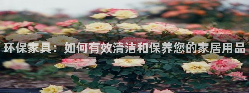 TP钱包ht余额不足如何处理：环保家具：如何有效清洁和保养您