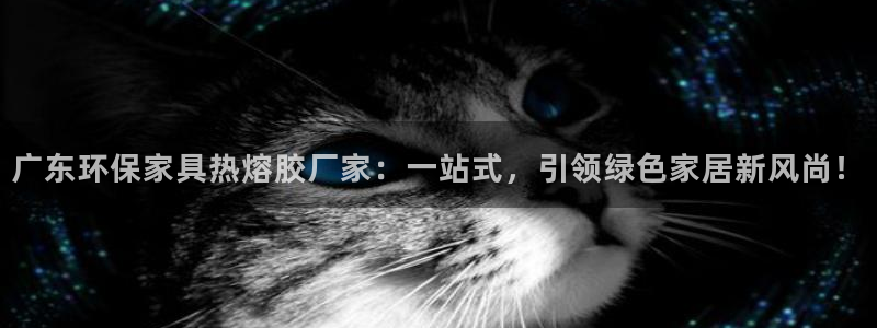 tp 钱包闪兑：广东环保家具热熔胶厂家：一站式，引领绿色家居