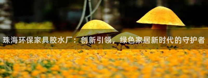 tp钱包薄饼交易所：珠海环保家具胶水厂：创新引领，绿色家居新