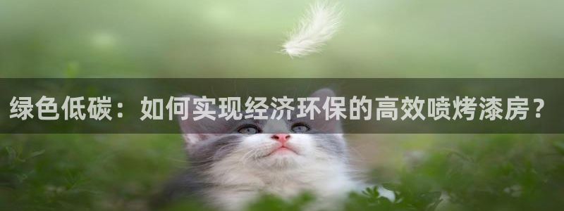 TP钱包安卓版下载1.75