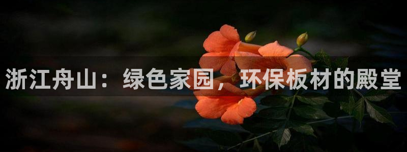 tpay钱包合法吗：浙江舟山：绿色家园，环保板材的殿堂