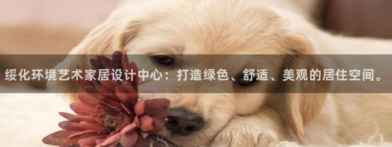 TP钱包CORE剩下的币领取：绥化环境艺术家居设计中心：打造