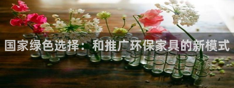 tplogin.on：国家绿色选择：和推广环保家具的新模式
