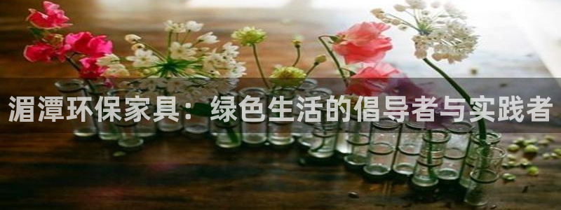 tpay钱包官网下载：湄潭环保家具：绿色生活的倡导者与实践者