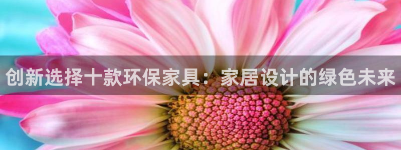 tpt钱包闪兑：创新选择十款环保家具：家居设计的绿色未来